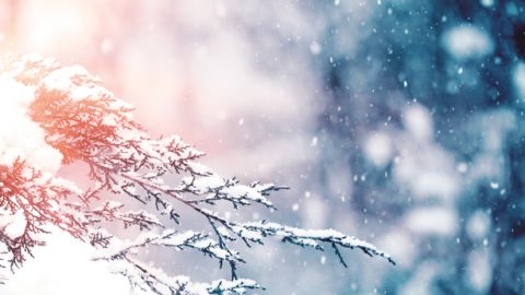 Ang Malupit na Pag-uusig ng Pamahalaang CCP ay Pinatitibay Lamang ang Aking Pagmamahal sa Diyos