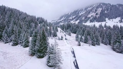 Ang Puwersa ng Buhay na Hindi Kailanman Mapapawi