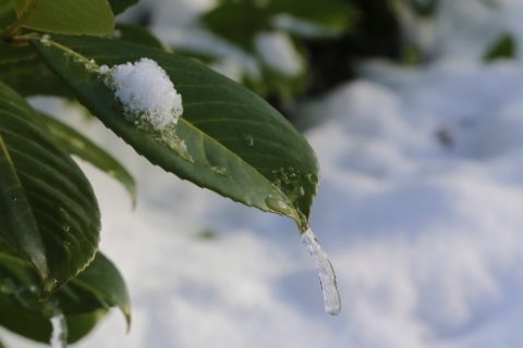 Ang Pag-uusig at Paghihirap ay Tumulong sa Akin upang Lumago